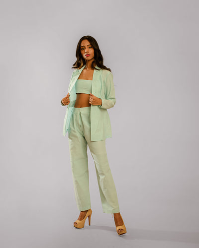 Light Green Notch Lapel Regular Jacket With Cigar Pants